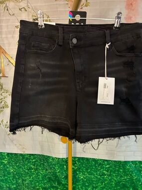 #250. Vervet Rebecca High Rise Shorts Size L